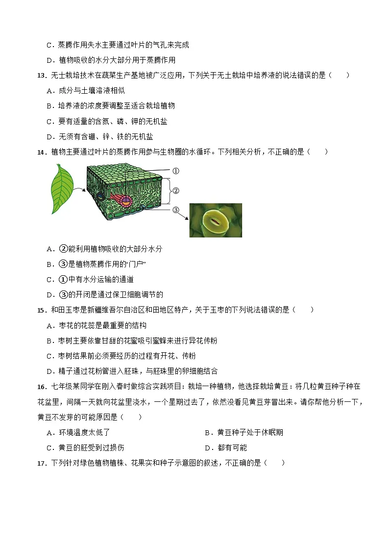 2025-2026【北师大版】初中生物 七年级上册期末备考卷第3页
