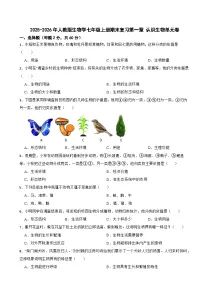 2025-2026年人教版生物学七年级上册期末复习第一章 认识生物单元卷