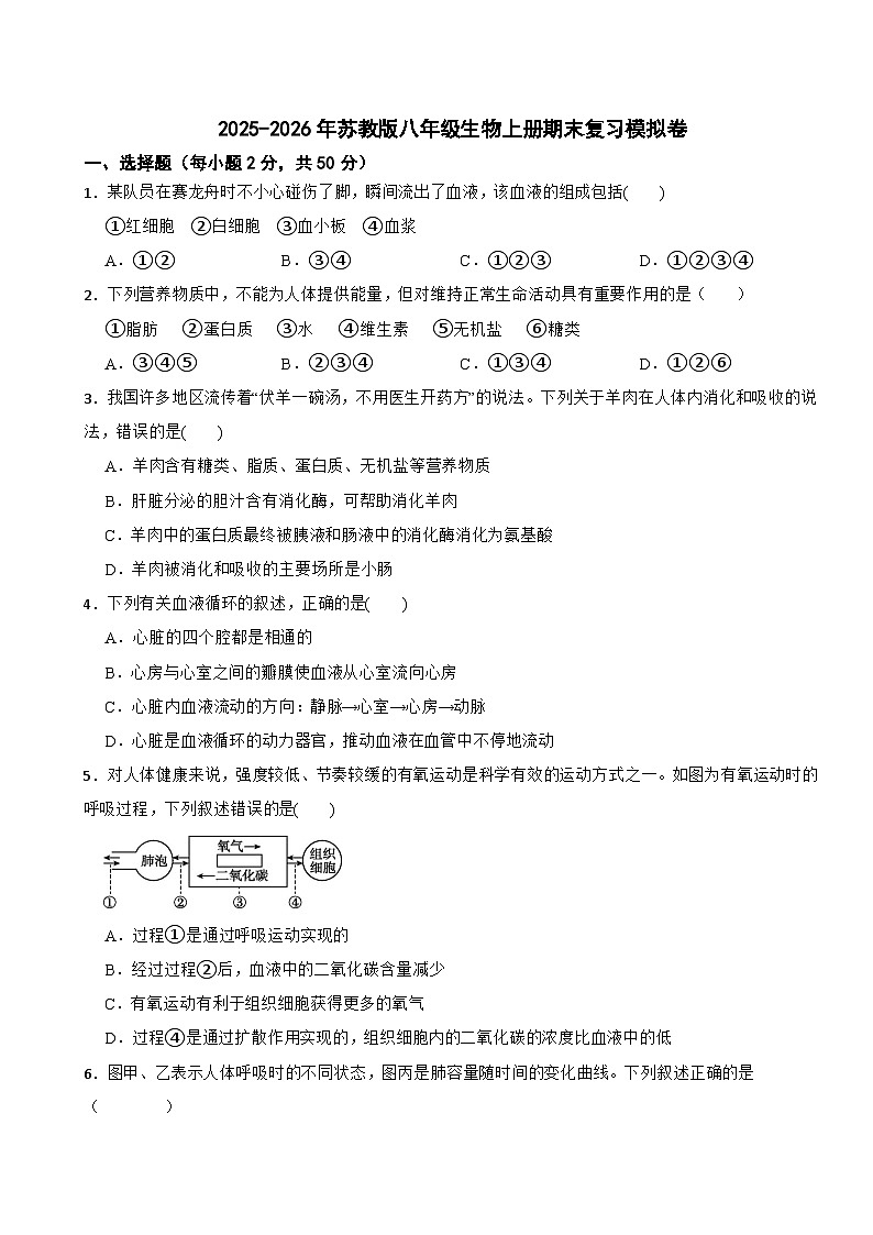 2025-2026年苏教版八年级生物上册期末复习模拟卷第1页