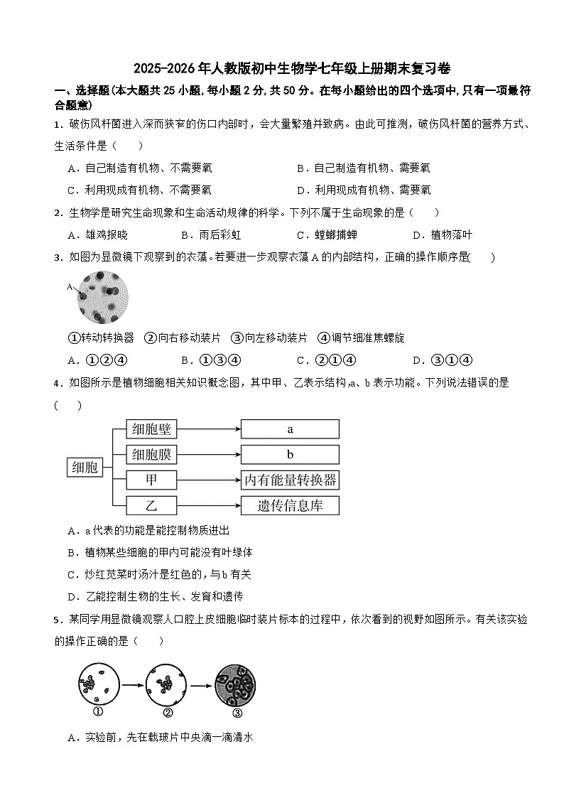 2025-2026年人教版初中生物学七年级上册期末复习卷第1页