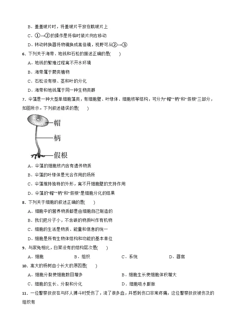 2025-2026年人教版初中生物学七年级上册期末复习卷第2页