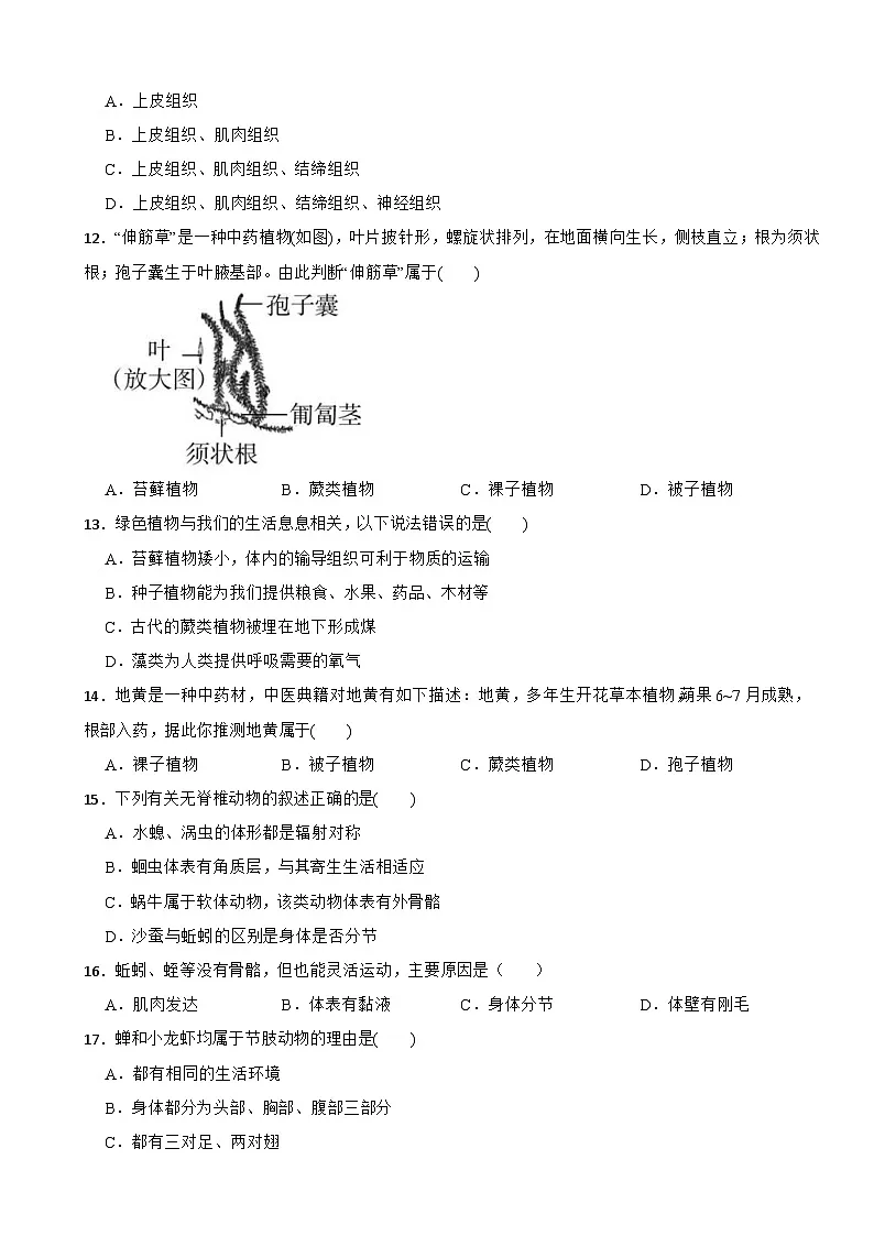 2025-2026年人教版初中生物学七年级上册期末复习卷第3页