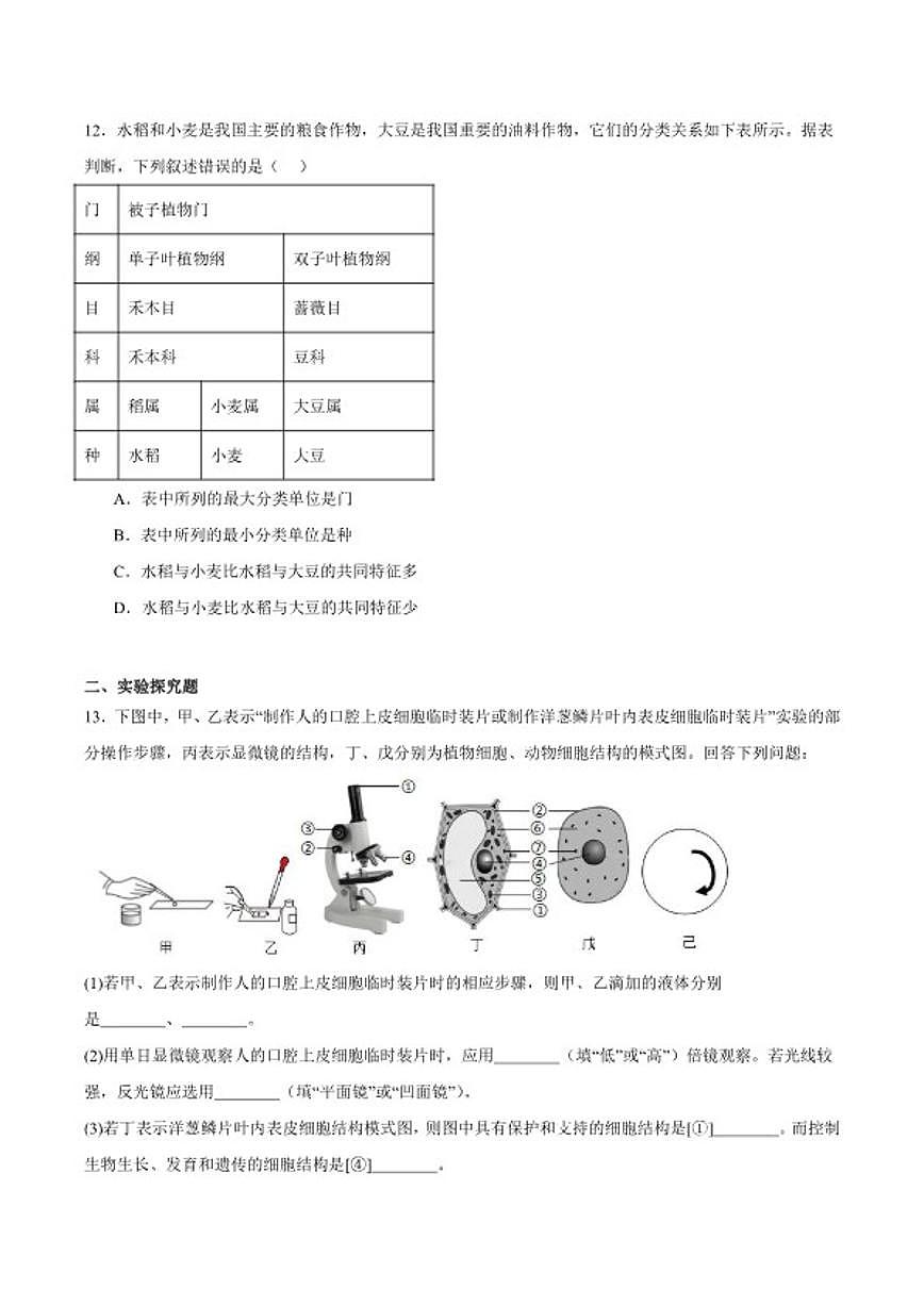 2025-2026学年四川省凉山州七年级上学期期末考试生物试卷（含答案）第3页
