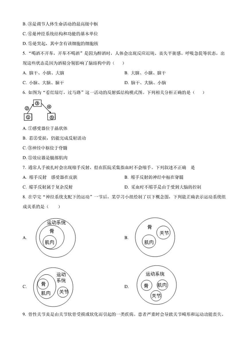 2025-2026学年四川省乐山市市中区八年级上学期期末生物学试题第2页
