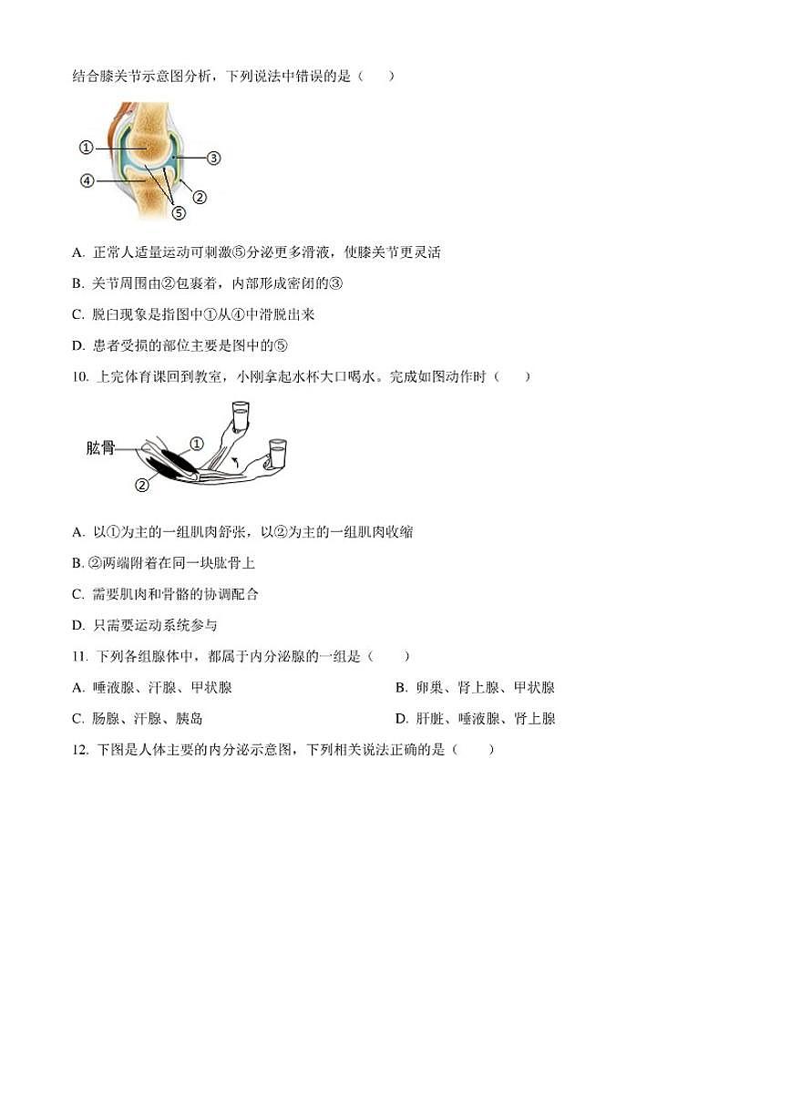 2025-2026学年四川省乐山市市中区八年级上学期期末生物学试题第3页
