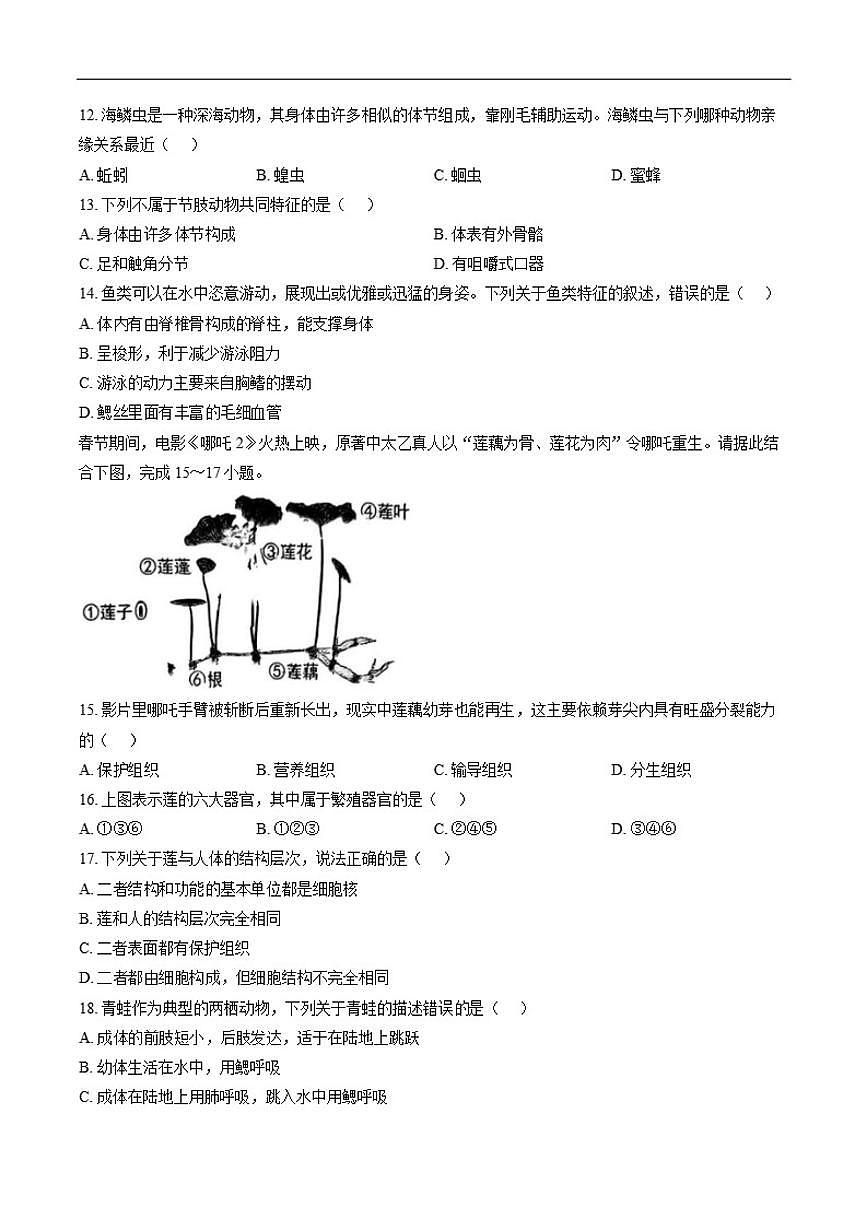 2025-2026年福建省莆田市荔城区度上学期七年级期末质量监测生物学试卷（含答案）第3页