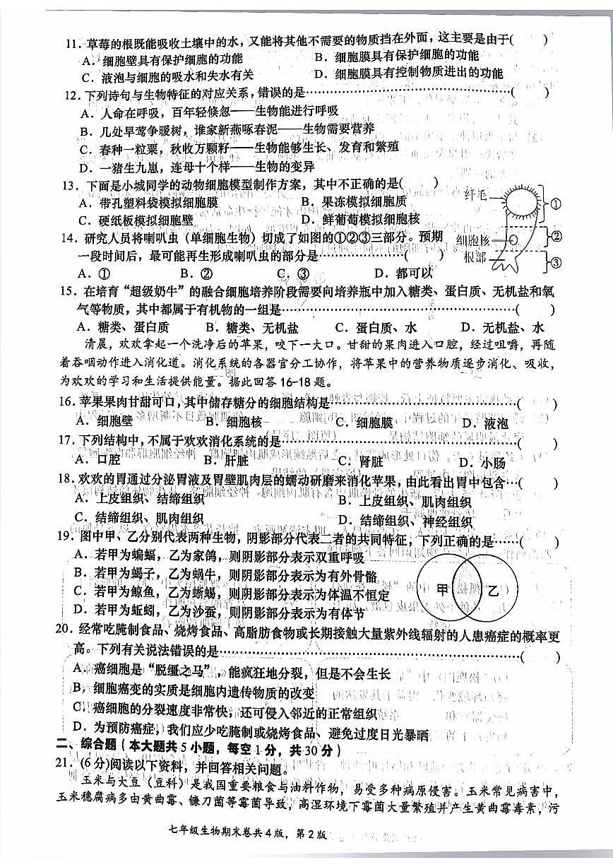 2025-2026学年江西省赣州市于都县七年级上学期期末考试生物试卷（含答案）第2页