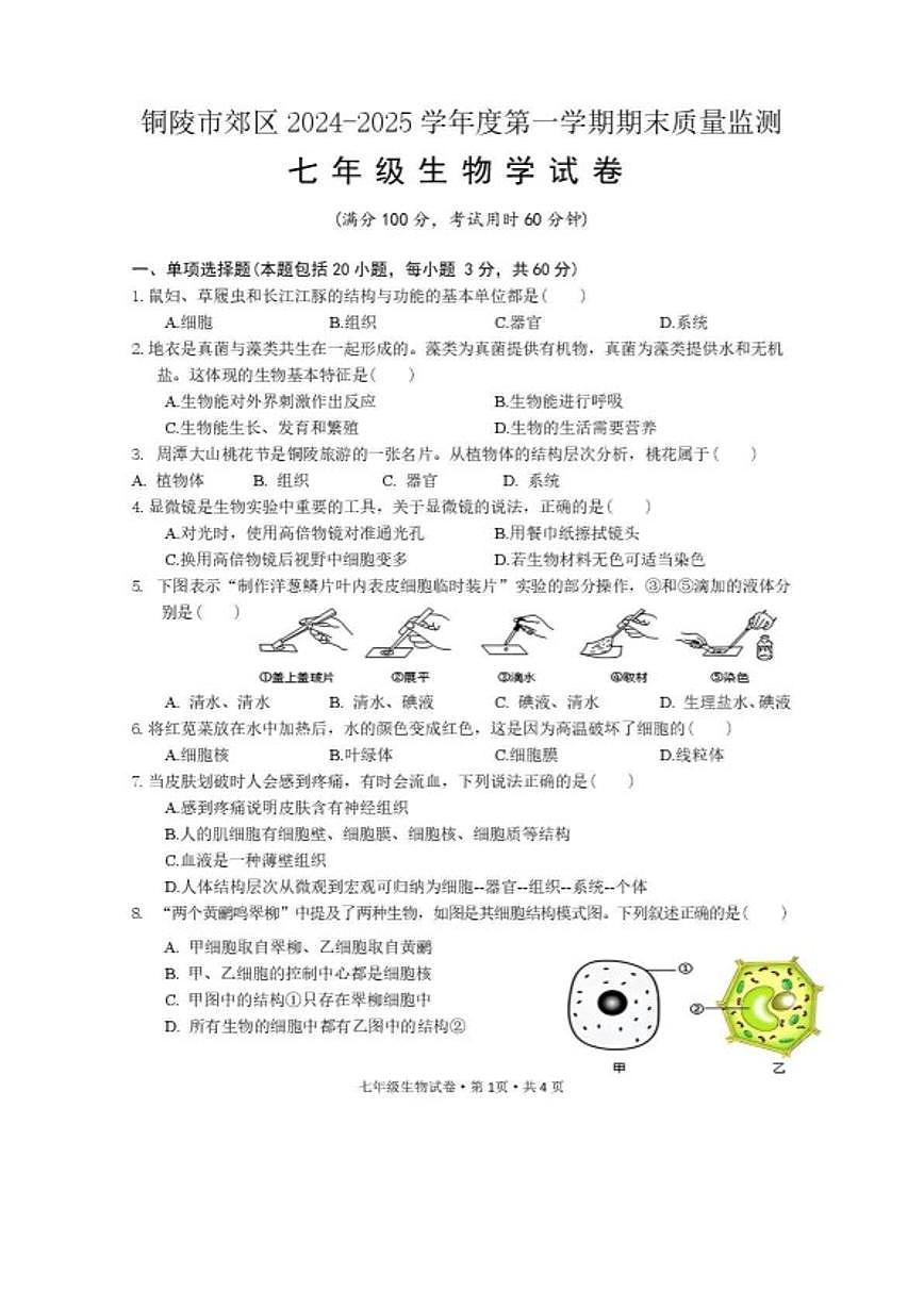2024-2025学年安徽省铜陵市郊区度第一学期期末质量监测七年级生物学试卷（含答案）第1页