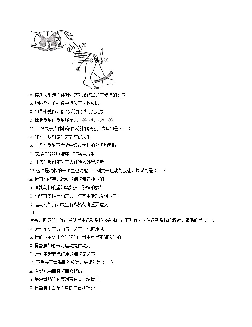 北京师范大学附属中学2025_2026学年八年级上学期期中生物试题（扫描版，含答案）第3页