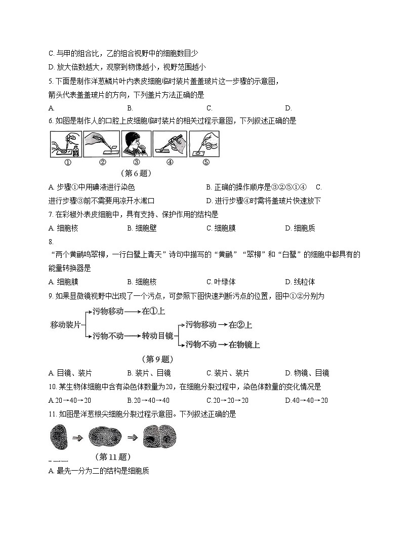 吉林省松原市宁江区2025—2026学年七年级上学期期中生物试题（文字版，含答案）第2页
