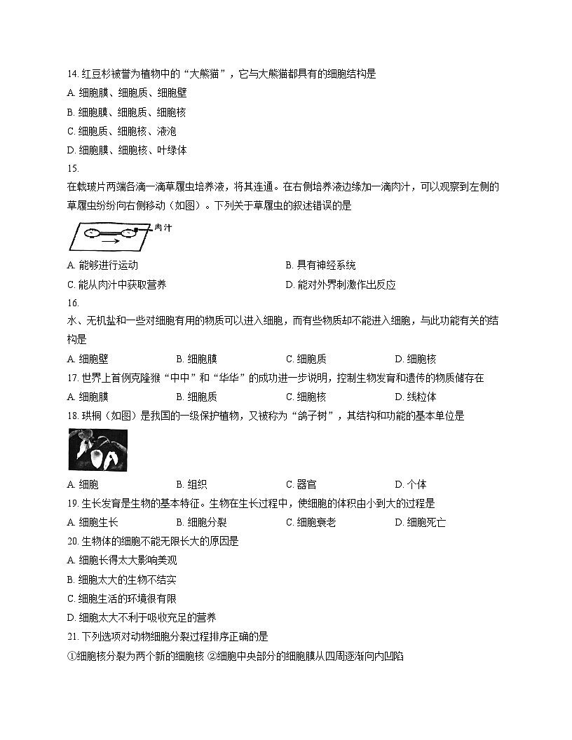 北京市第四中学2025_2026学年七年级上学期期中考试生物试卷（扫描版，含答案）第3页