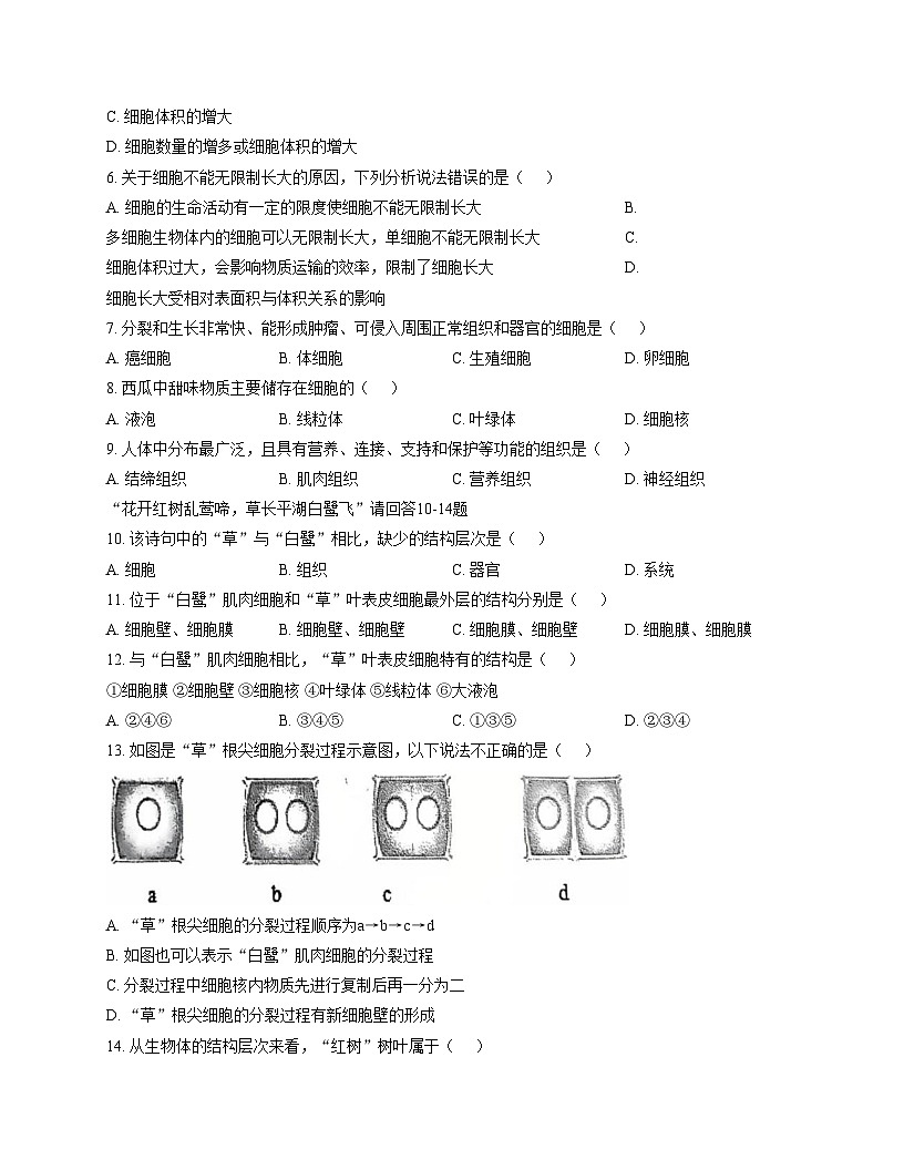 福建省泉州市第七中学2025_2026学年七年级上学期期中测试生物试卷（文字版，含答案）第2页