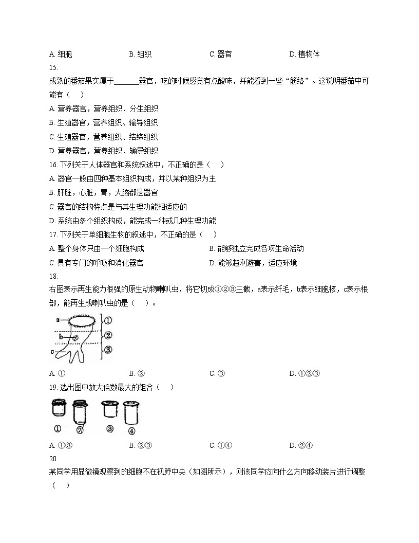 福建省泉州市第七中学2025_2026学年七年级上学期期中测试生物试卷（文字版，含答案）第3页