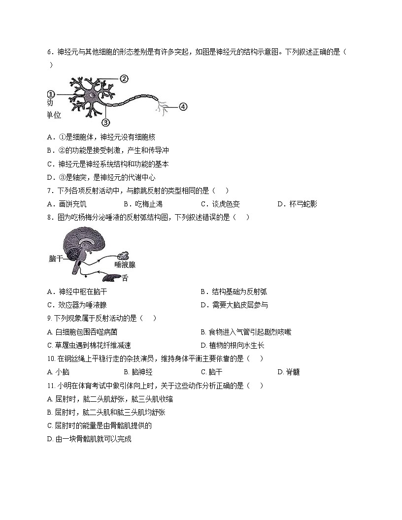 湖南省邵阳市洞口县2025_2026学年八年级上学期期中质量检测生物试题（文字版，含答案）第2页