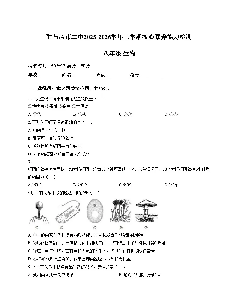河南省驻马店市第二初级中学2025_2026学年八年级上学期11月期中生物试题（文字版，含答案）第1页