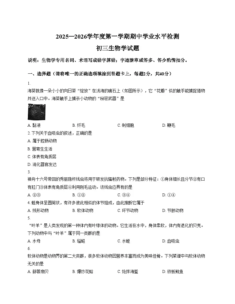 山东省淄博市张店区2025_2026学年八年级上学期11月期中生物试题（文字版，含答案）第1页