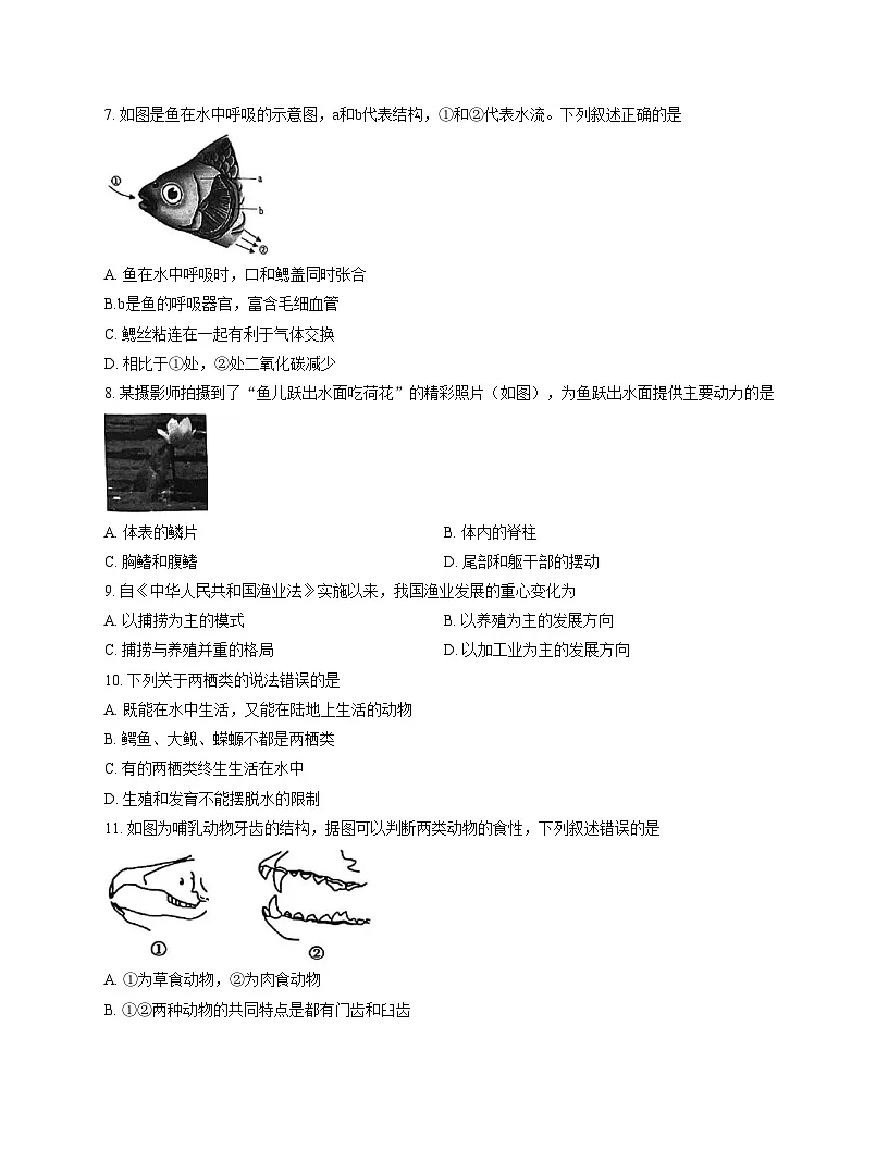 山东省淄博市张店区2025_2026学年八年级上学期11月期中生物试题（文字版，含答案）第2页