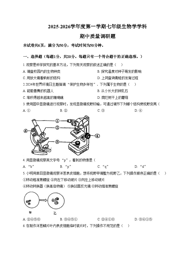 吉林省长春市二道区东北师范大学附属实验学校（经开）2025_2026学年七年级上学期11月期中生物试题（文字版，含答案）第1页