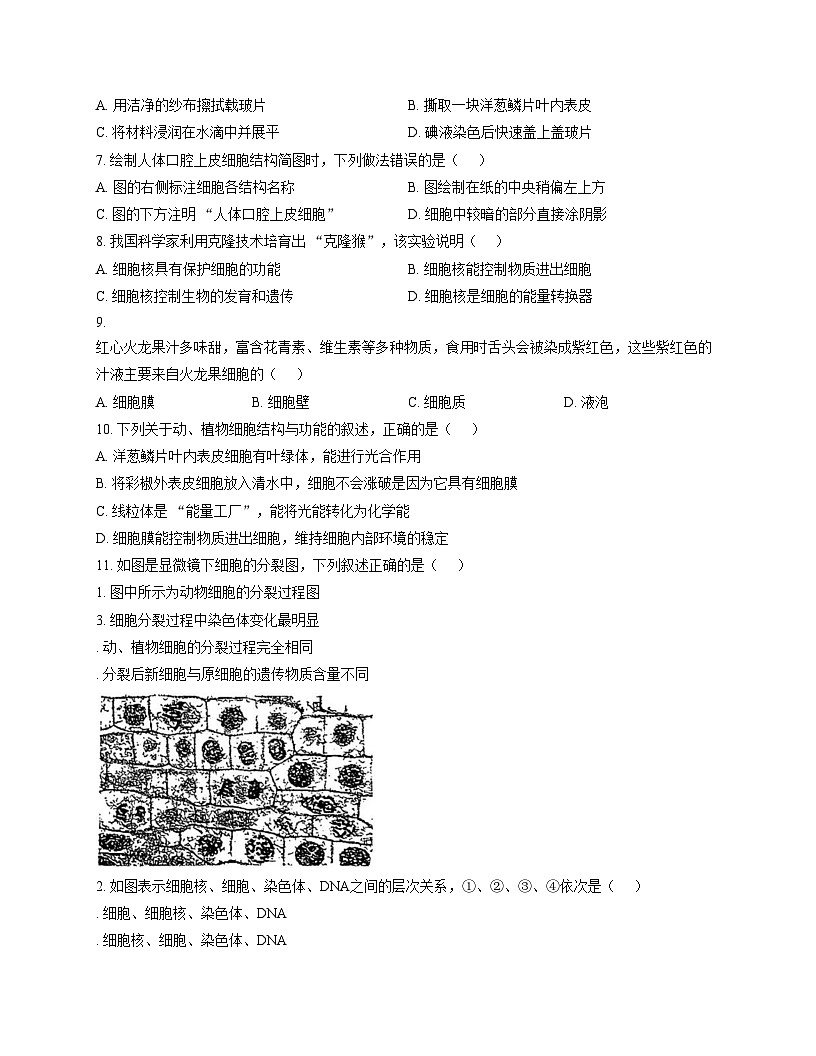 吉林省长春市二道区东北师范大学附属实验学校（经开）2025_2026学年七年级上学期11月期中生物试题（文字版，含答案）第2页