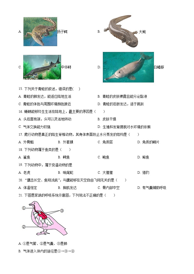 广东省深圳市福州市2022-2023学年八年级上学期第一次月考生物试题（原卷版）-A4第3页