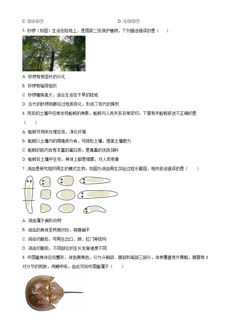 广东省东莞市东城区七年级上学期期末生物试题（原卷版）-A4第2页