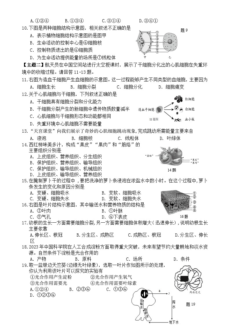 广东省惠州市博罗县七年级上学期期末考试生物试题-A4第2页