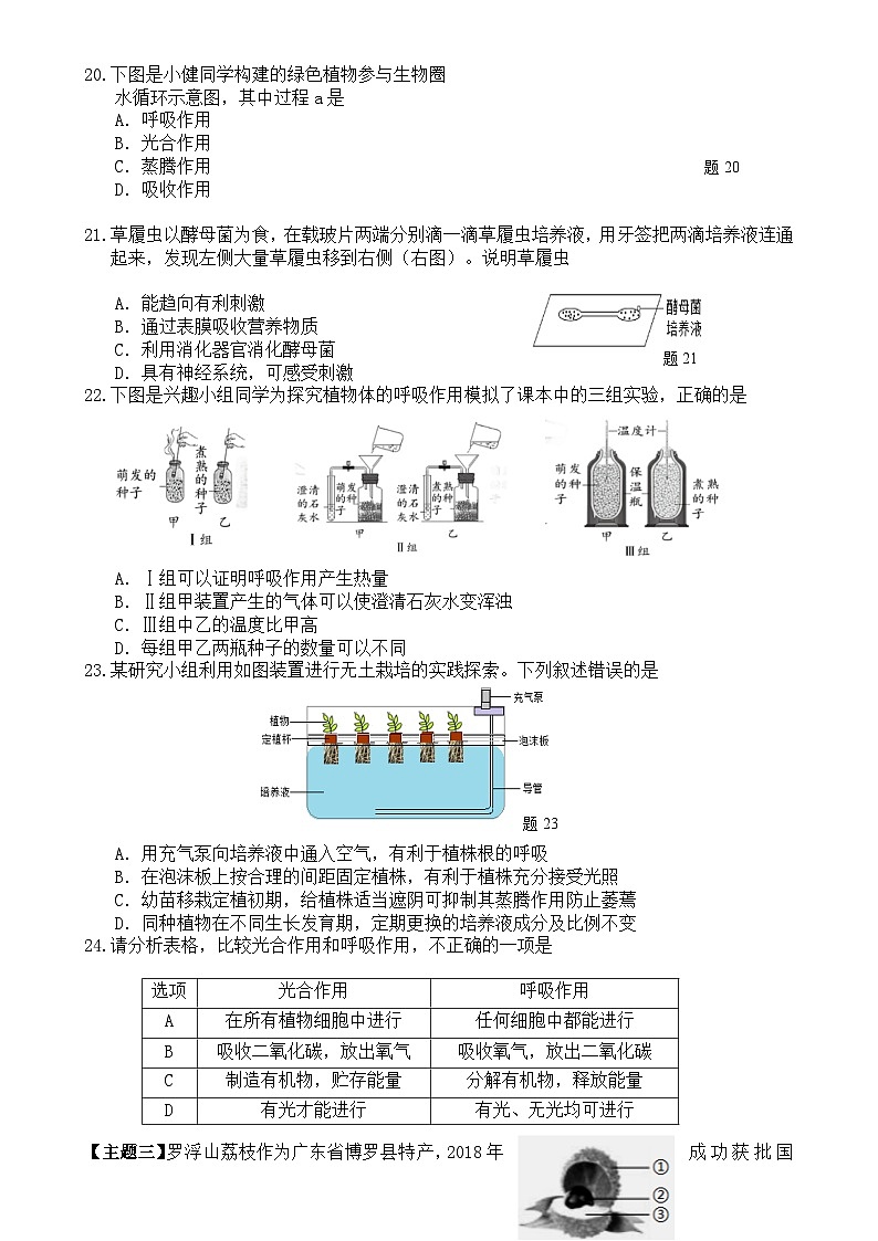 广东省惠州市博罗县七年级上学期期末考试生物试题-A4第3页