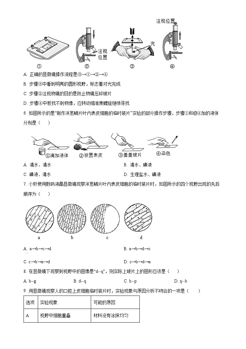 广东省东莞市厚街海月学校七年级上学期期中生物试题（原卷版）-A4第2页