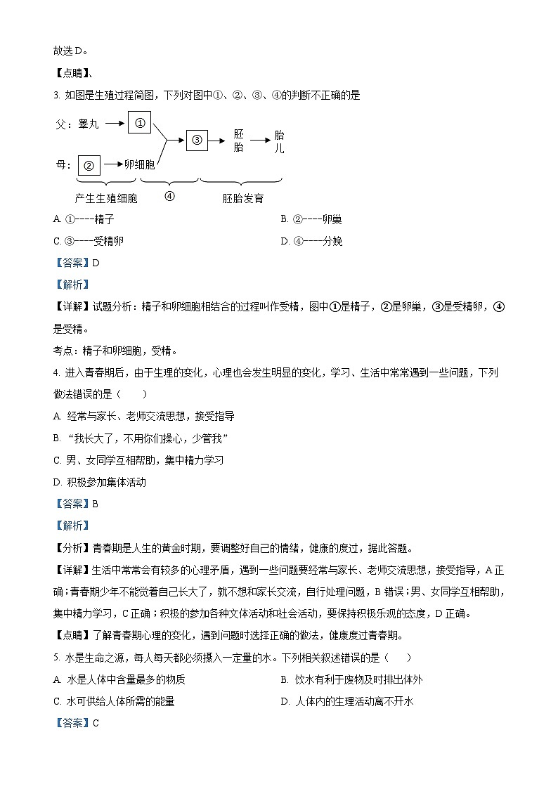 广东省汕头市潮阳实验学校七年级下学期期末生物试题（解析版）-A4第2页