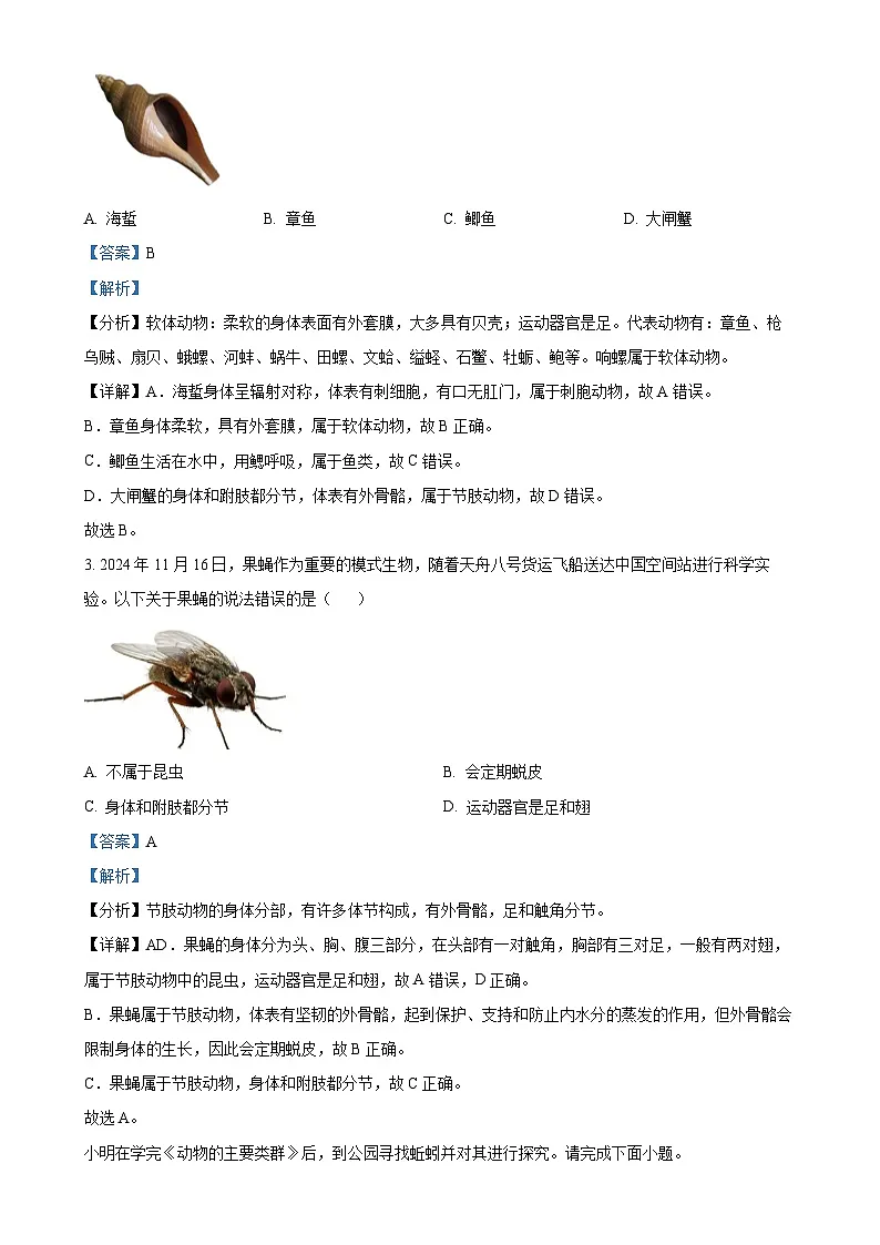 广东省汕头市金平区2024~2025学年八年级上学期期末生物试题（解析版）-A4第2页