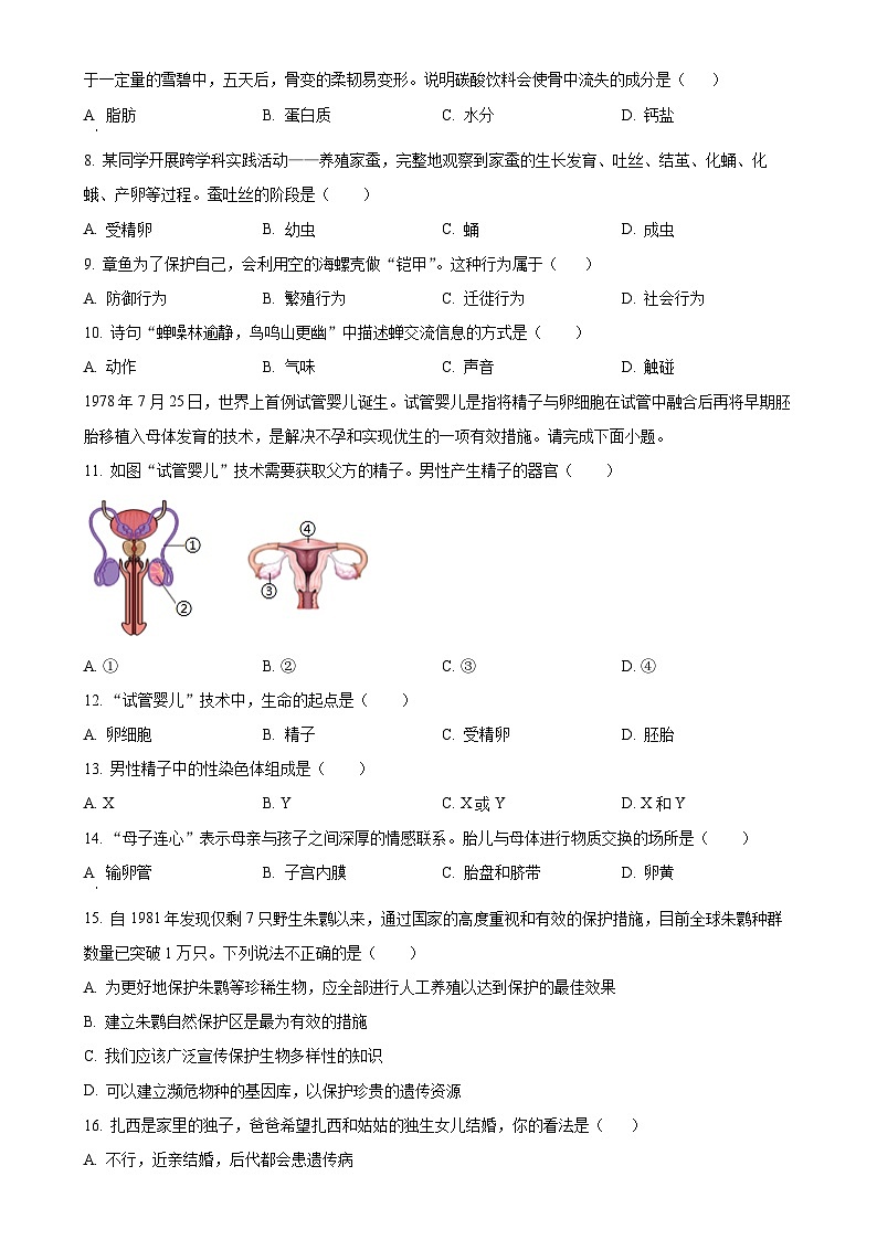 广东省惠州市博罗县八年级上学期期末生物试题（原卷版）-A4第2页