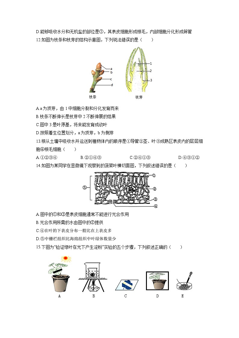 2025-2026学年河北省秦皇岛市抚宁区八年级上学期期末生物试卷（学生版）第3页