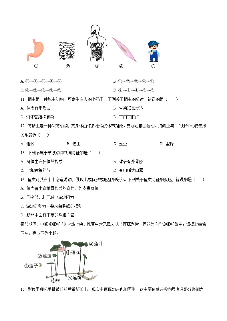 福建省莆田市荔城区2025-2026学年七年级上学期期末生物学试题（有解析）第3页
