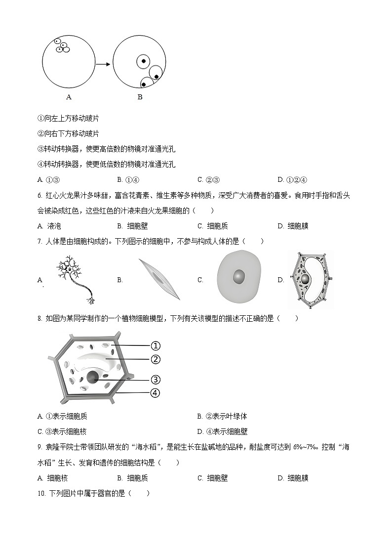 广东省广州市七年级上学期期末生物试题（原卷版）-A4第2页