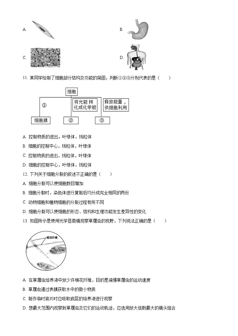 广东省广州市七年级上学期期末生物试题（原卷版）-A4第3页