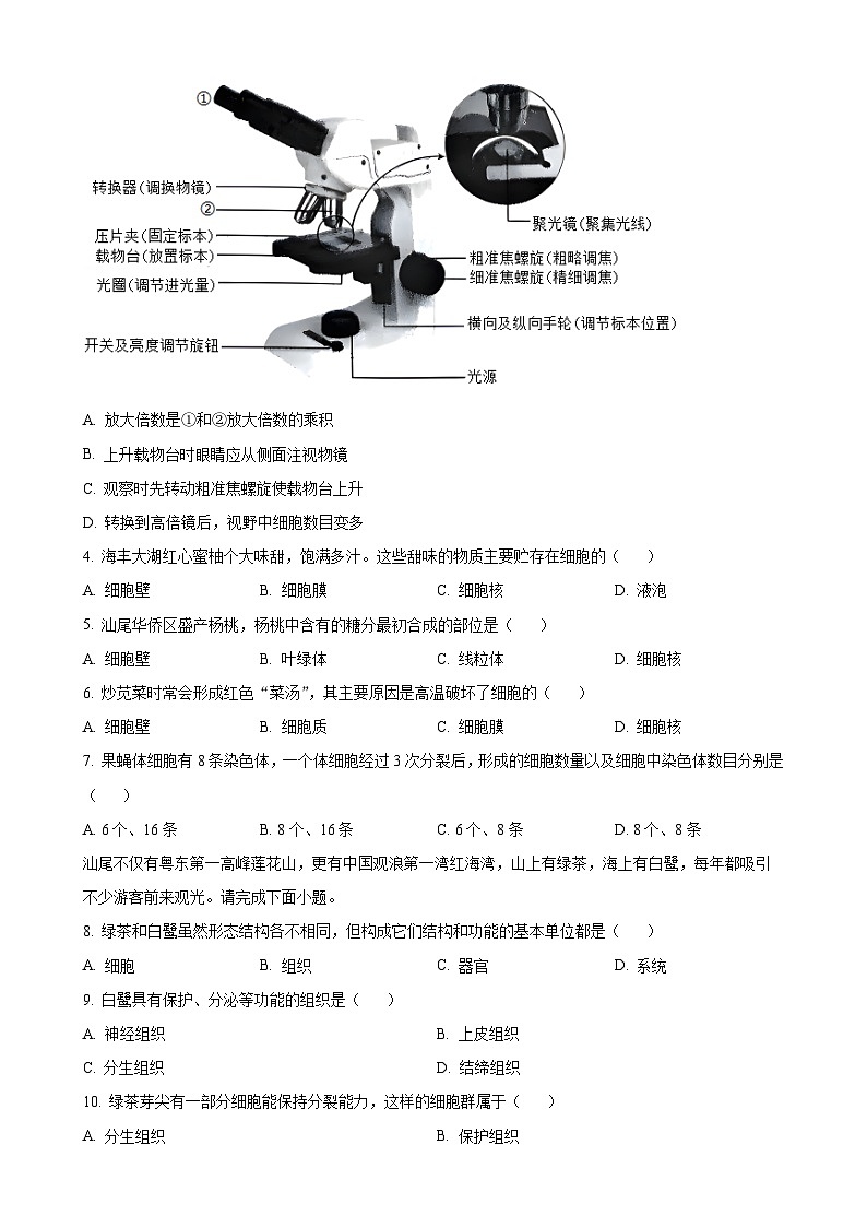 广东省汕尾市七年级上学期期末生物试题（原卷版）-A4第2页
