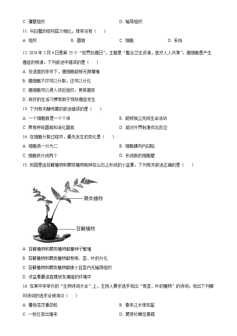 广东省汕尾市七年级上学期期末生物试题（原卷版）-A4第3页