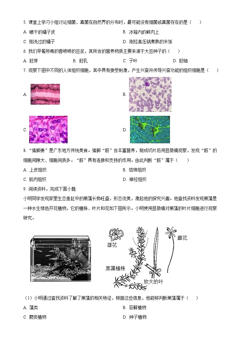 广东省广州市天河区七年级上学期期末生物试题（原卷版）-A4第2页
