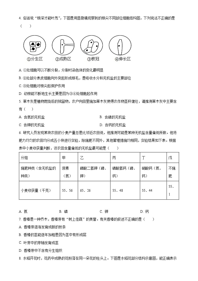 广东省中山市小榄镇七年级下学期中生物试题（原卷版）-A4第2页