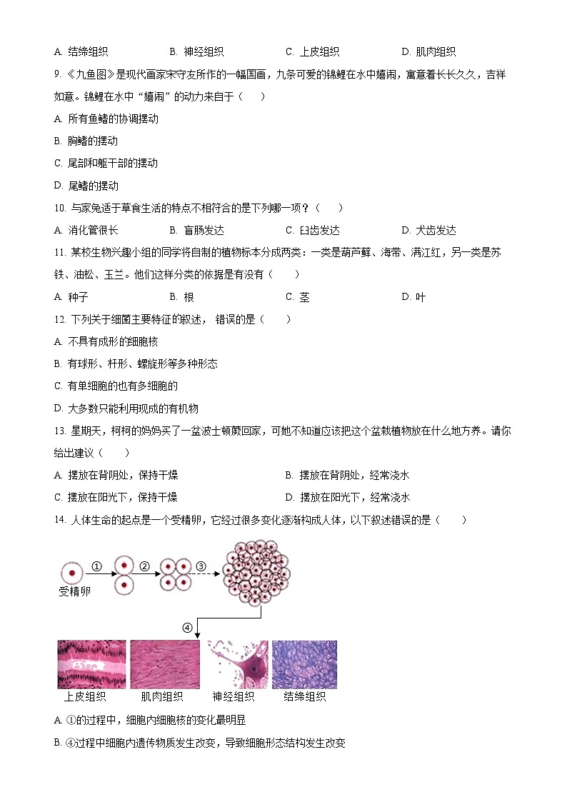 广东省汕头市潮南区陈店公办八校七年级上学期期末生物试题（原卷版）-A4第2页
