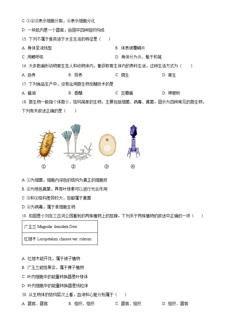 广东省汕头市潮南区陈店公办八校七年级上学期期末生物试题（原卷版）-A4第3页
