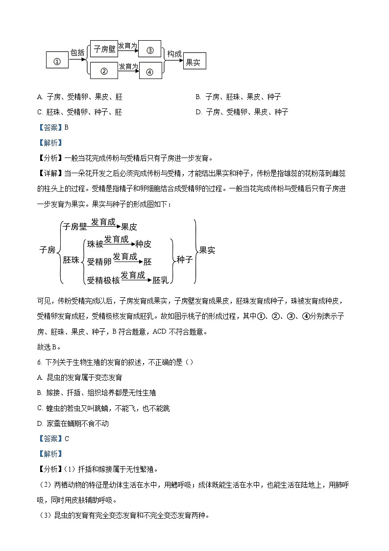 广东省汕头市潮南区八年级下学期期中生物试题（解析版）-A4第3页