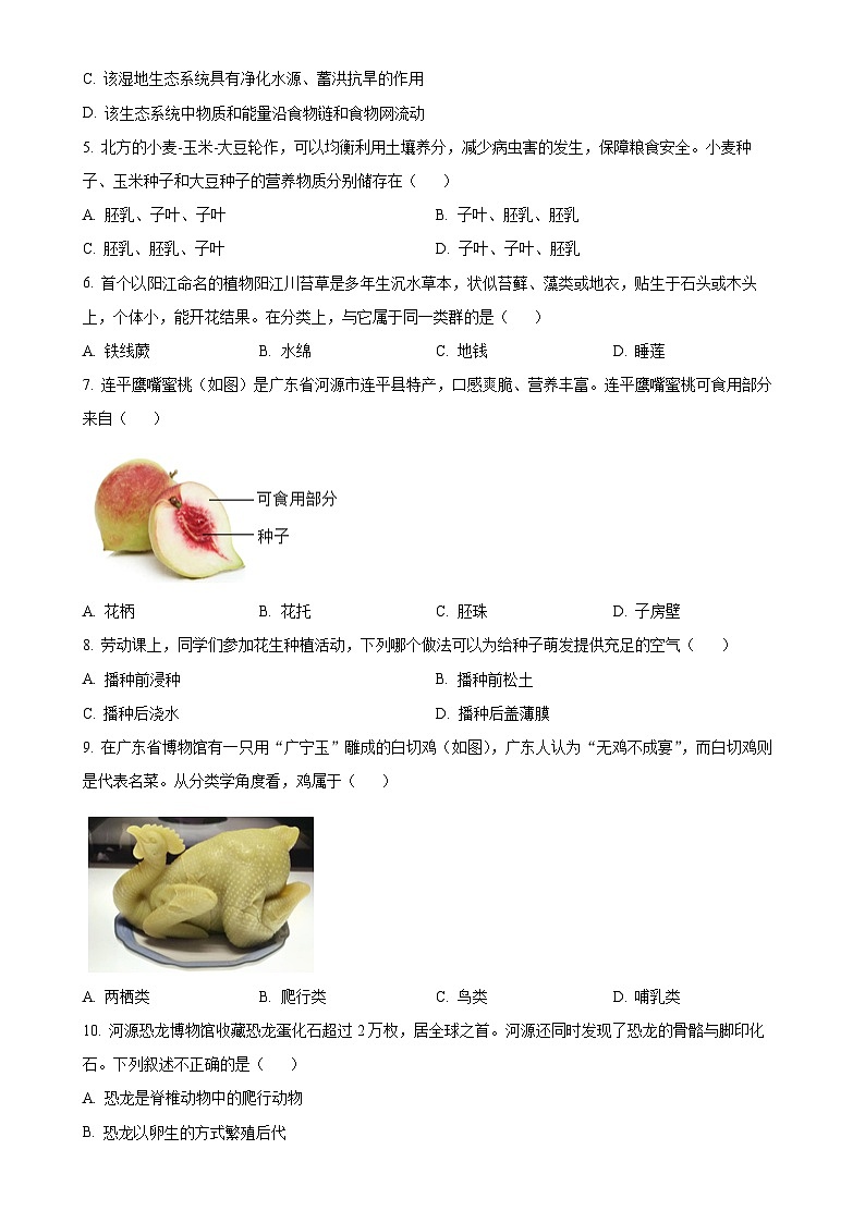 2025年广东省阳江市中考一模生物试题（原卷版）-A4第2页