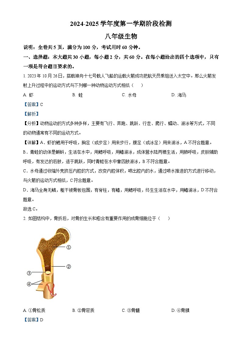 广东省云浮市罗定市八年级上学期期中生物试题（解析版）-A4第1页