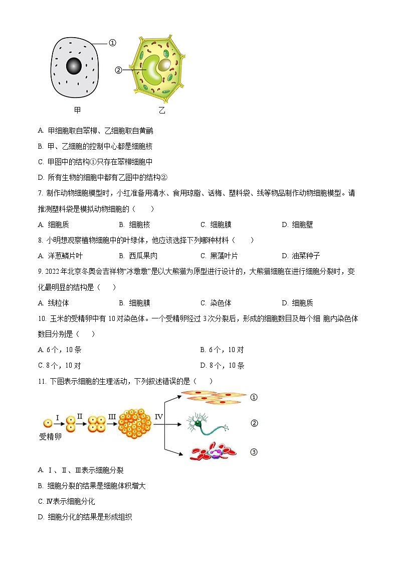 广东省汕头市潮南区七年级上学期期末生物试题（原卷版）-A4第2页
