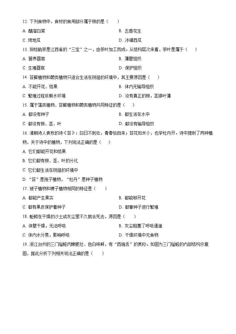 广东省汕头市潮南区七年级上学期期末生物试题（原卷版）-A4第3页