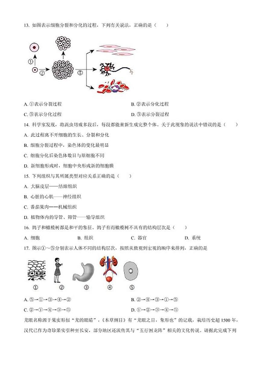 2025-2026学年广东省梅州市兴宁市七年级上学期期末生物学试题第3页
