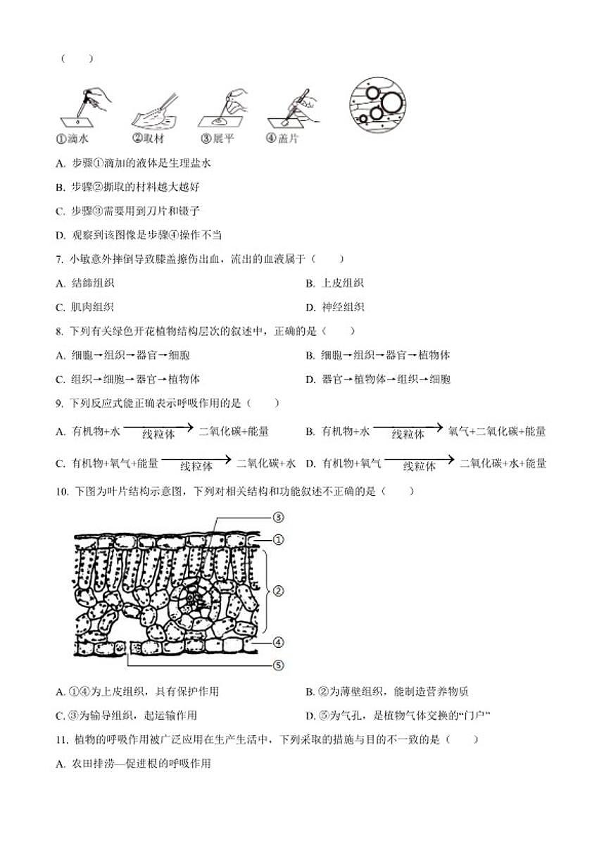 2025-2026学年河南省驻马店市西平县七年级上学期期末生物学试题第2页
