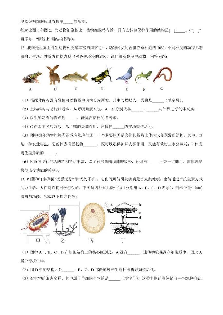 2025-2026学年湖北省黄石市阳新县七年级上学期期末生物学试题第3页