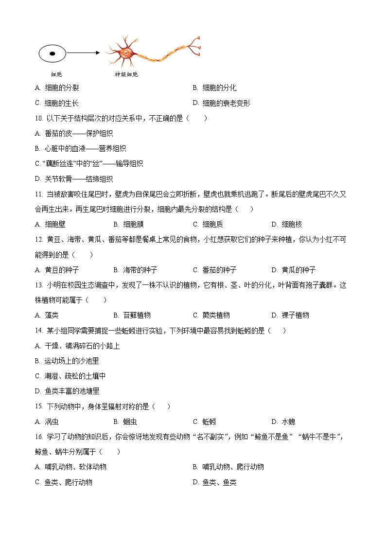 湖南省株洲市石峰区2025-2026学年七年级上学期期末生物学试题（有解析）第2页